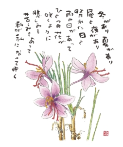 文学の窓〈富弘美術館〉